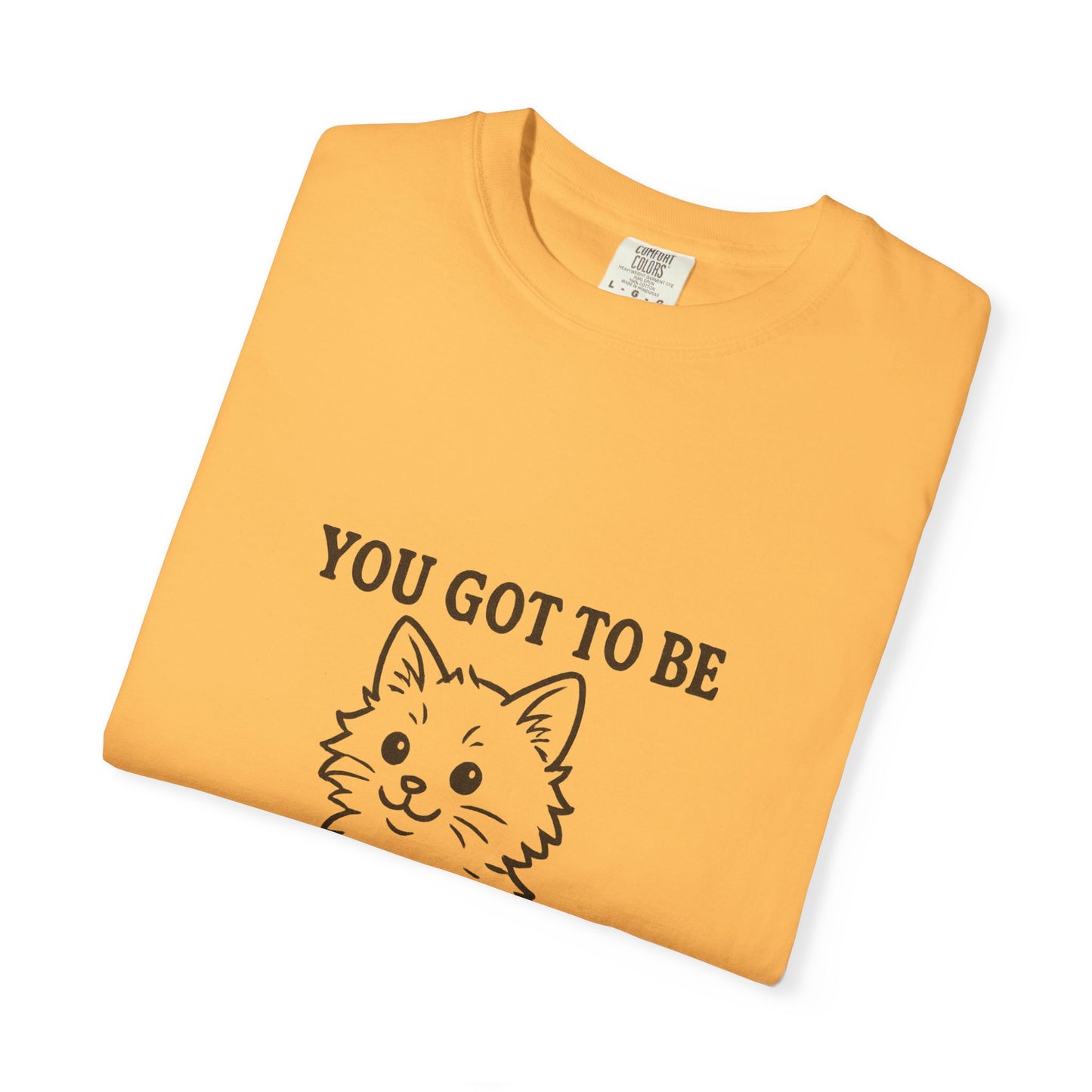 Are you Kitten me?